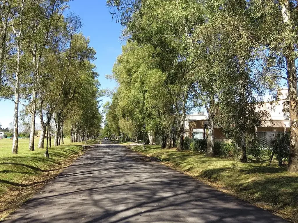 Imagen de La Cesarina